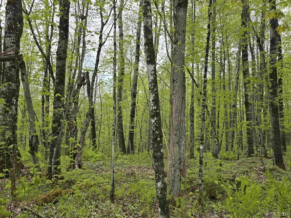 LOT 37 Yellow Rd, Nisula, MI 49952