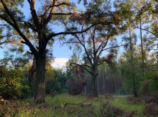 16331 156th St, Mc Alpin, FL 32062