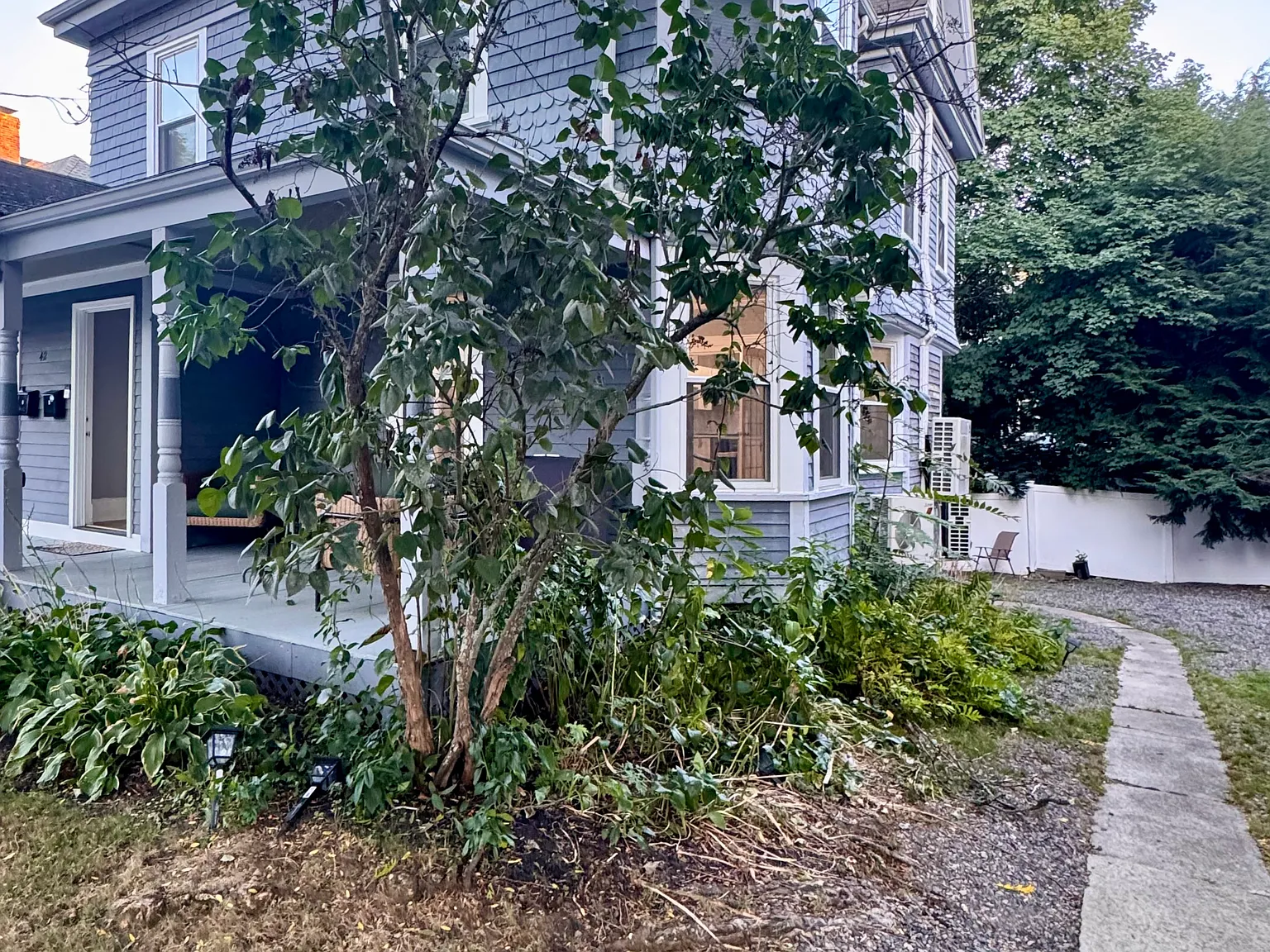 1 bed, 1.5 bath, 1000 sqft, $3,500 — Photo 2