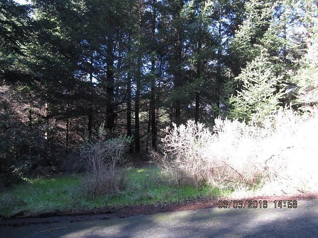2nd image of 101 Olson Rd
