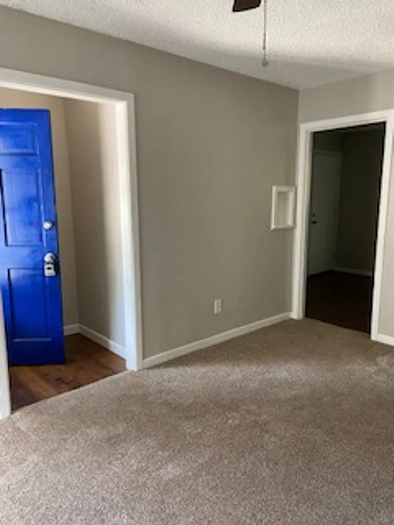 1309 S. San Jose Drive — Photo 4