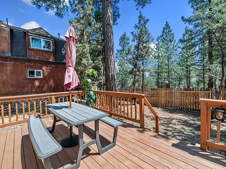 355 Pine Ln — Photo 11
