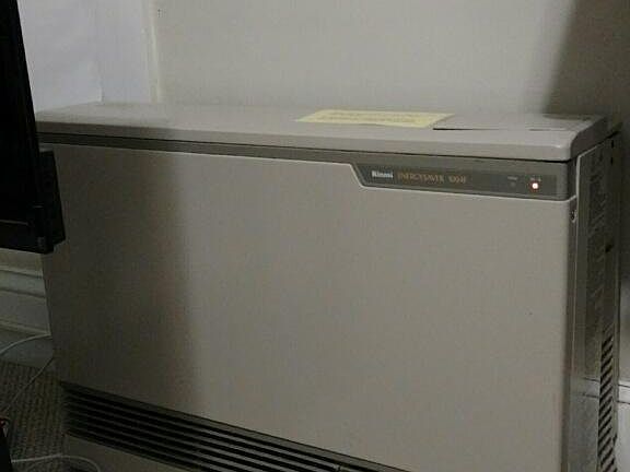 efficient rinnai heater
