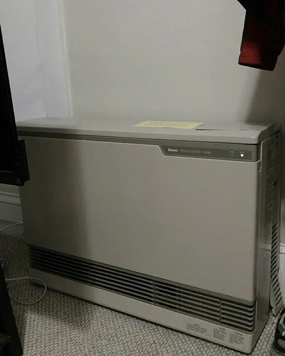 efficient rinnai heater