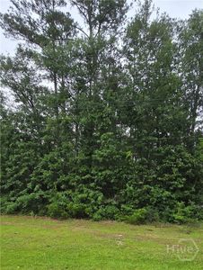 S Of 5750 S Coastal Hwy, Riceboro, GA, 31323