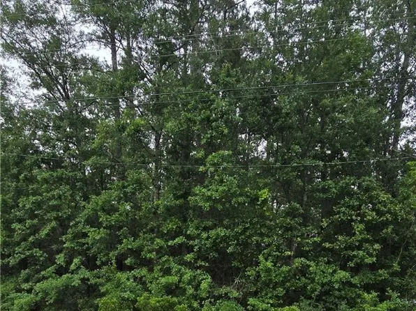 2 Acres South of 5750 S Coastal Hwy, Riceboro, GA 31323