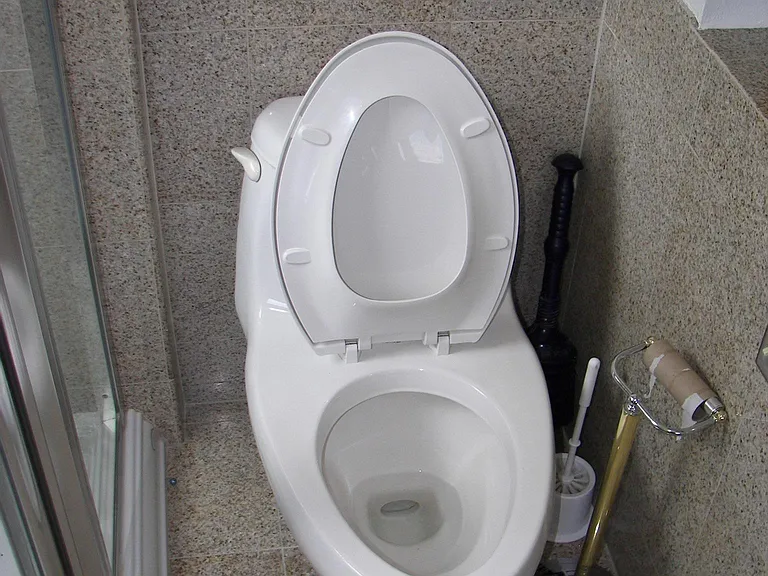 Master Bath, Toilet.