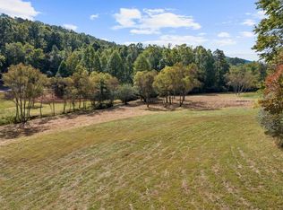 2 Premier Dr, Blue Ridge, GA 30513