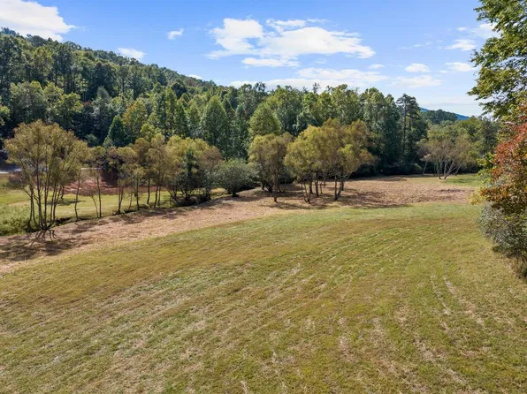2 Premier Dr, Blue Ridge, GA 30513
