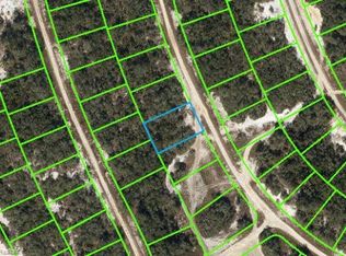 234 Rhythm Dr, Lake Placid, FL 33852