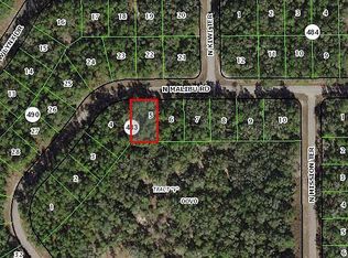 8775 N Malibu Rd, Citrus Springs, FL 34434