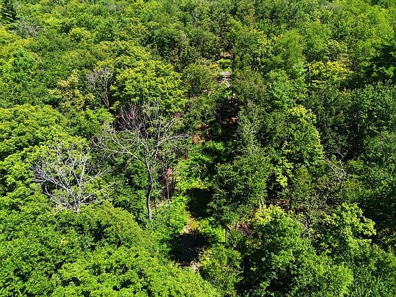 5th image of LOT 0 Thayer Hill Rd
