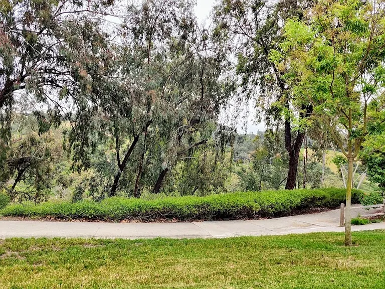 Mirabel Ln — Photo 51