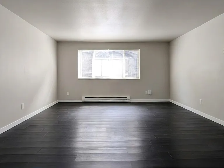 Large living room