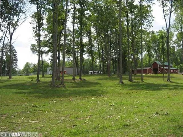 391 Brann River Trl, Browns Summit, NC 27214