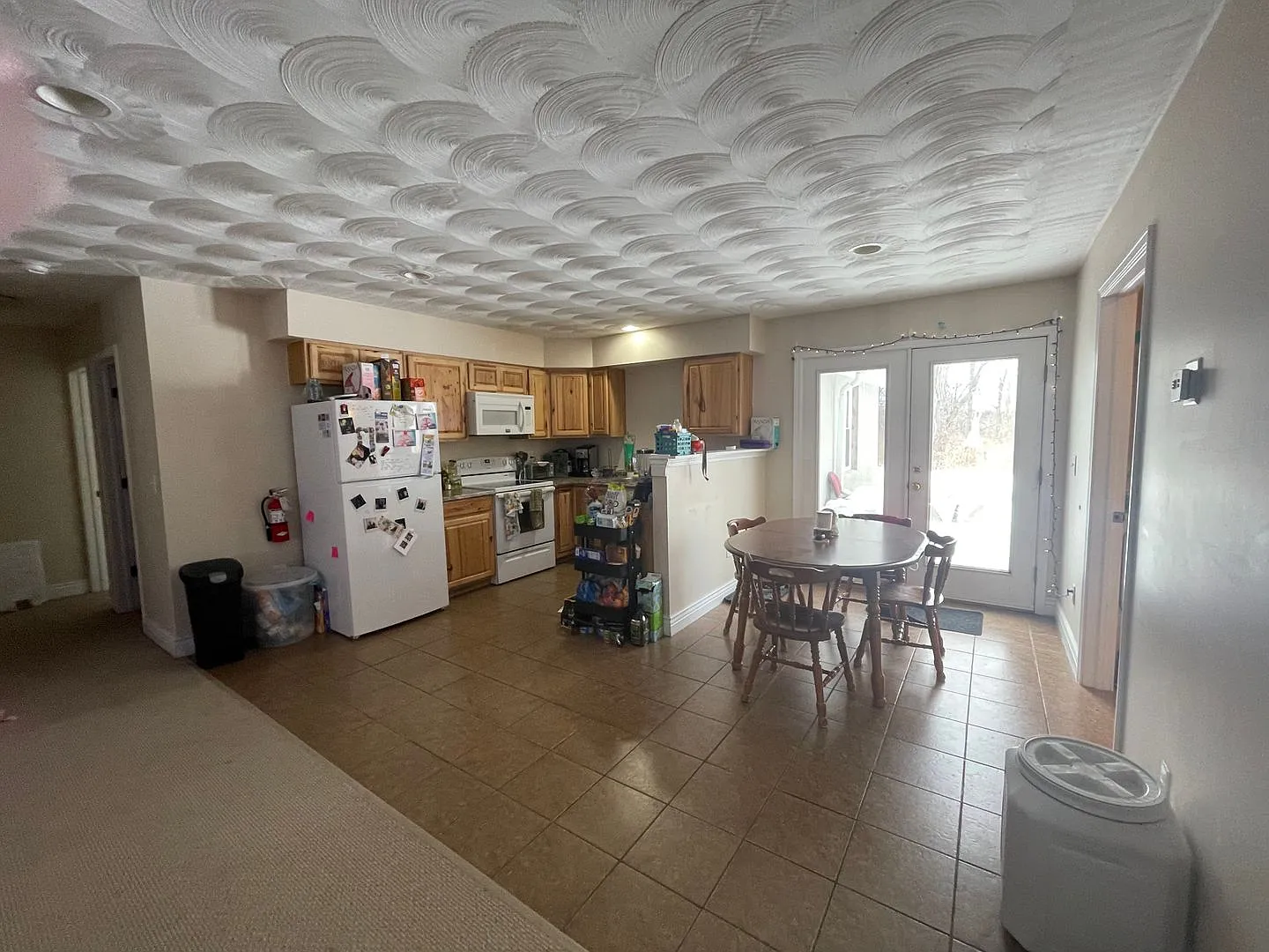 4 Bedroom Close to Ithaca College — Photo 3