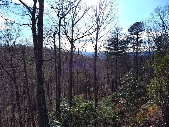 5th image of 0 Lyle Knob Rd