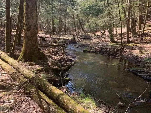 City Hall Road, Kerhonkson, NY 12446