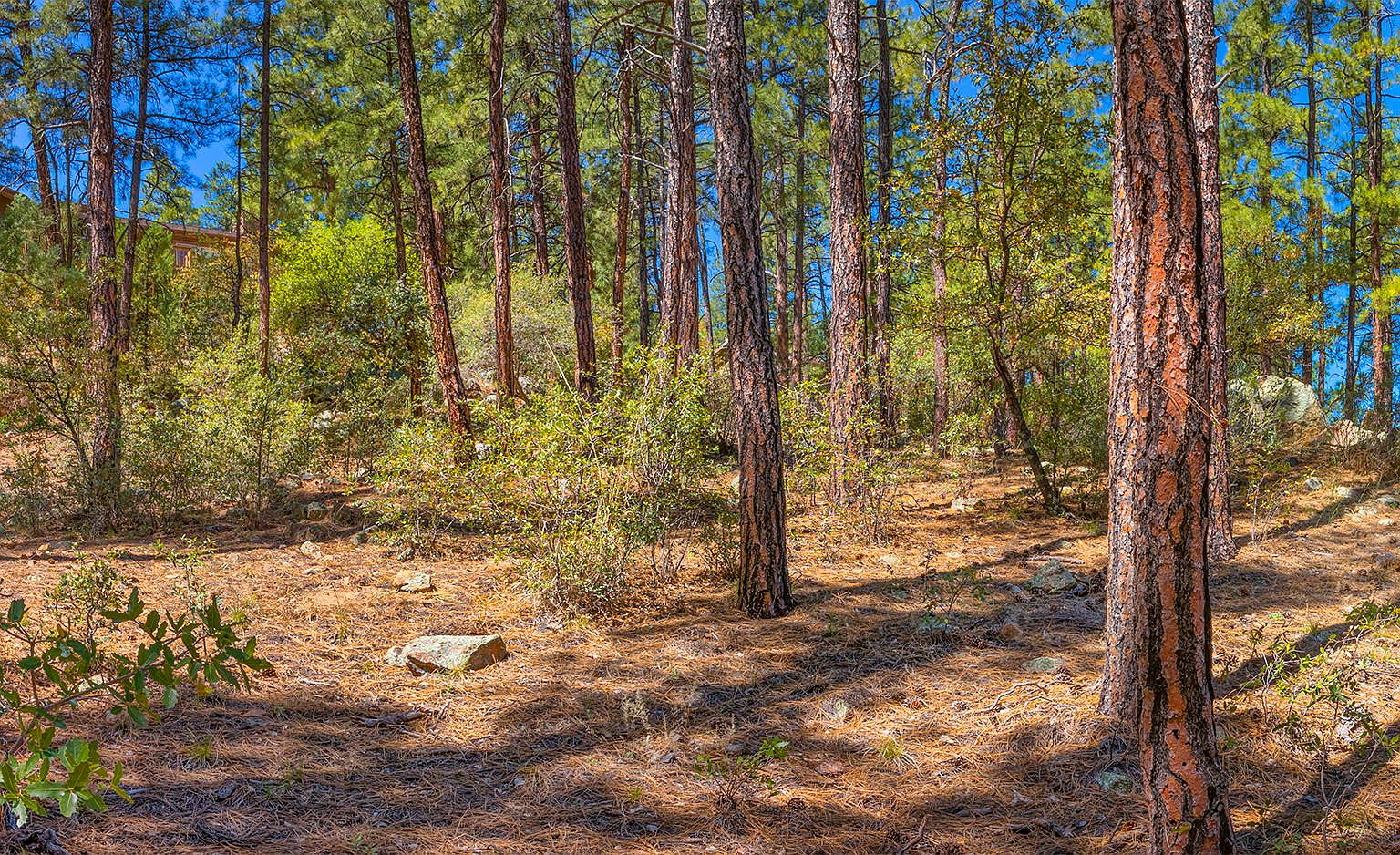 1159 W Timber Ridge Rd, Prescott, AZ 86303 Zillow