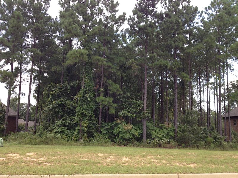 1st image of Brookwood Drive