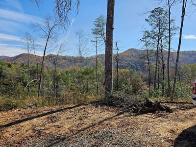 25 Odell Loop, Murphy, NC, 28906