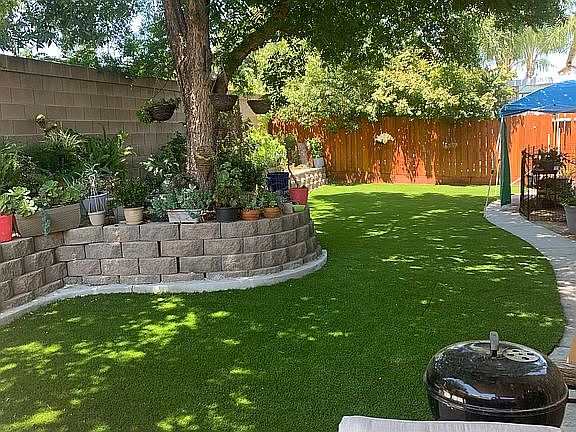 shaded backyard