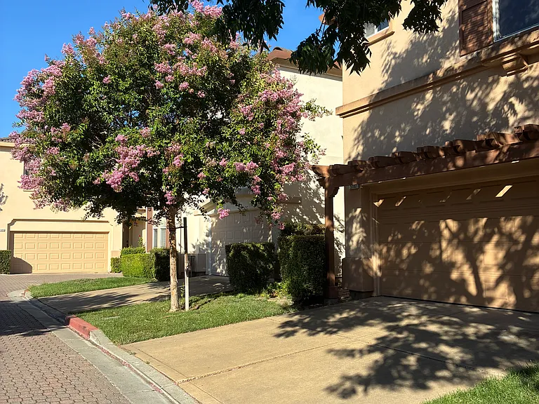 5107 Bianco Ct — Photo 4