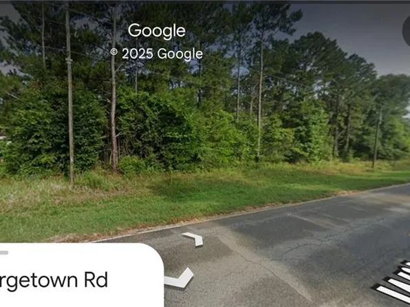 0 Wilmer Georgetown Rd Unit 9, Wilmer, AL 36587