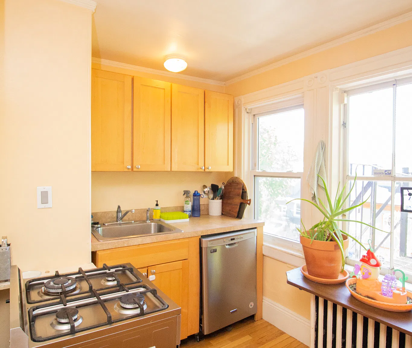 1 bed, 1.0 bath, $2,600 — Photo 3