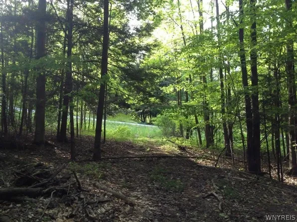 9 Cherrywood Rdg Lot 59, Holland, NY 14080