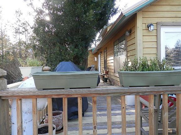 Back Deck