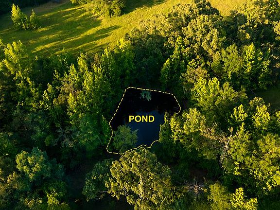 5th image of 1013 Community Park Dr