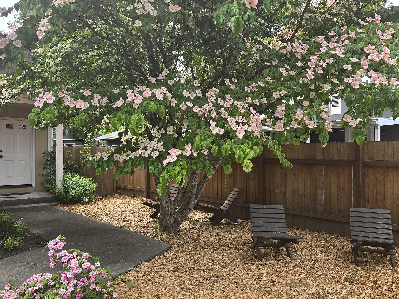 1140 Central St NE — Photo 2