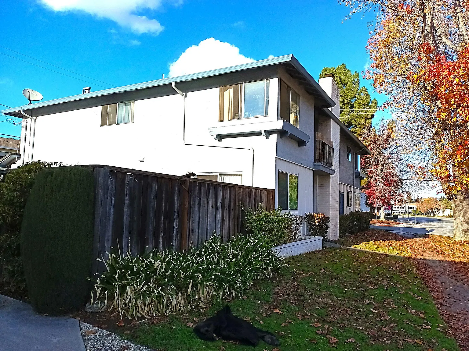 1 bed, 550 sqft, $2,090 — Photo 3