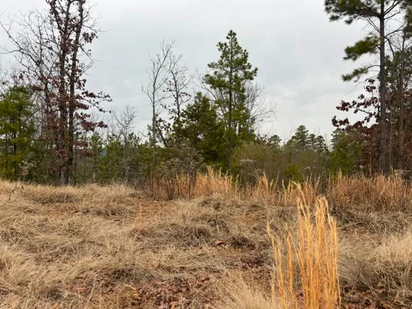 18008 Waterview Meadow Ct, Roland, AR 72135