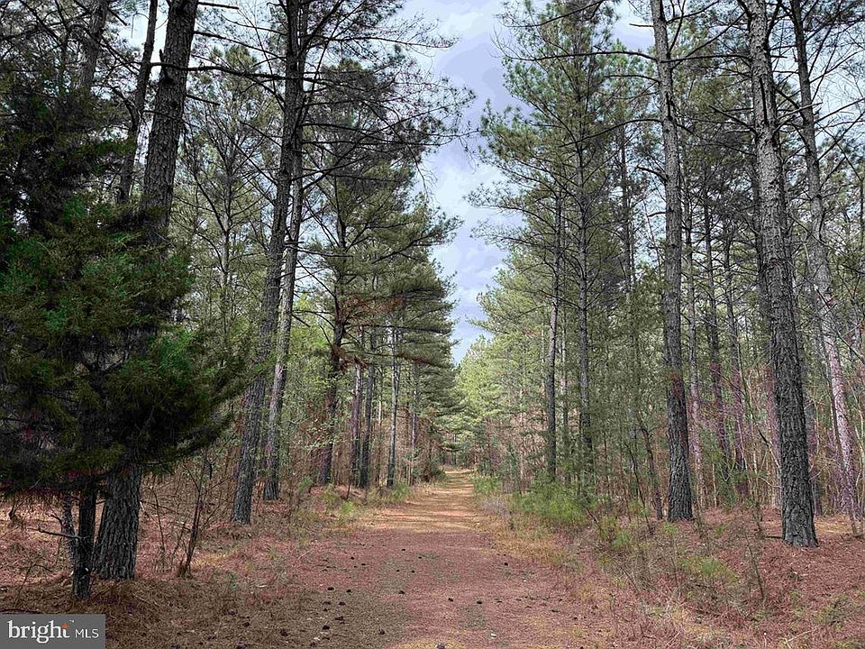 1st image of Wyatt Farm Road Carter Wls Tract C118