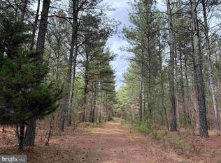 Wyatt Farm Road Carter Wls TRACT C118, Dry Fork, VA 24549