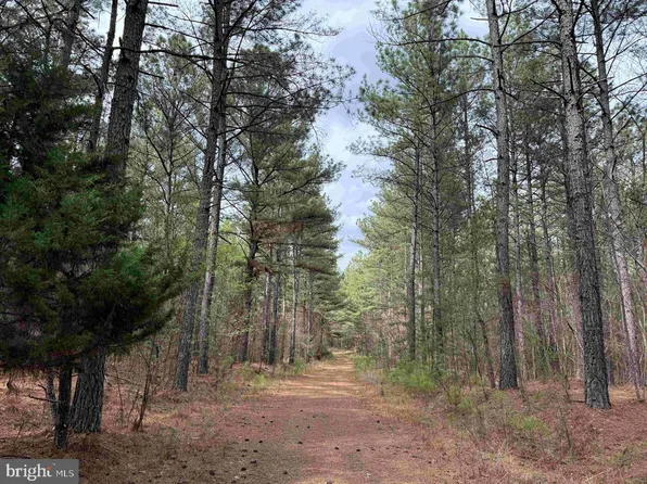 Wyatt Farm Road Carter Wls Tract C118, Dry Fork, VA 24549