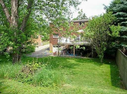 Nice Back Yard