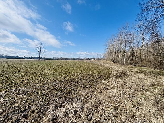 3rd image of Cook Rd