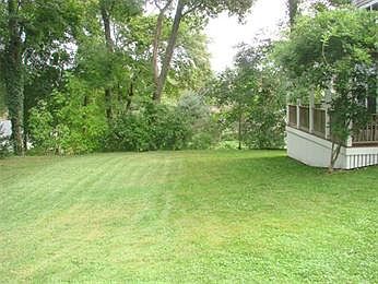 back yard