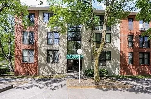 6 Juniper St #14