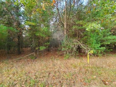 0 Buffalo Trl, Alger, MI, 48610
