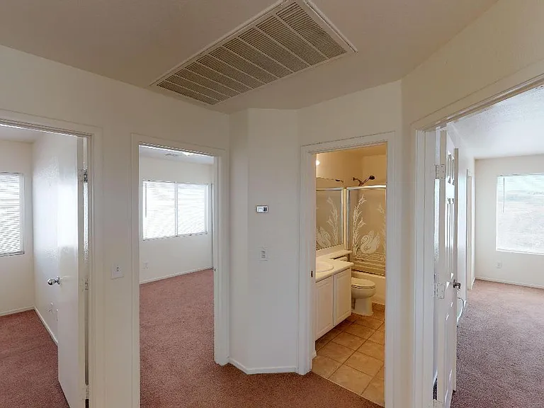 715 Plantain Lily Ave — Photo 12