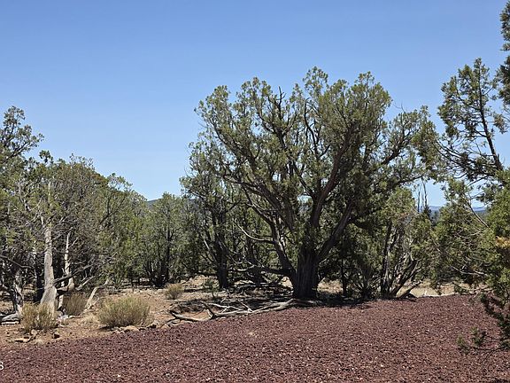 3rd image of 1148 N Floyd Ranch Rd