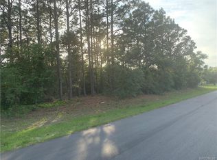 8418 N Amboy Dr, Citrus Springs, FL 34433