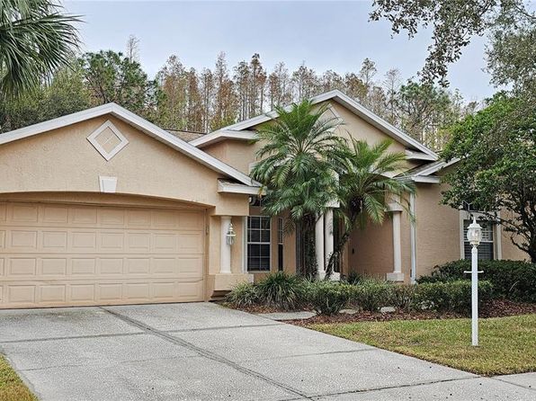 6013 Catlin Dr, Tampa, FL 33647