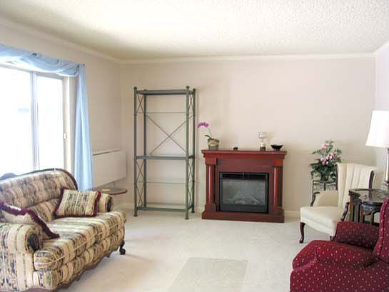 Living room w/electric fireplace. Fireplace will heat up to 900sq ft