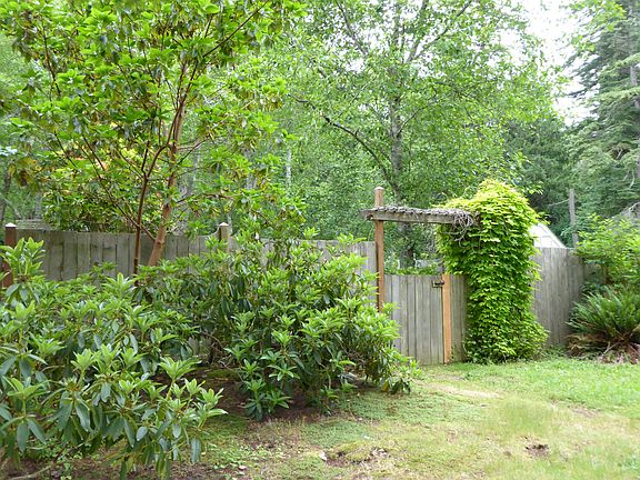 native landscaping