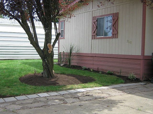 Front/Driveway